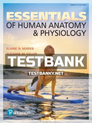 Test Bank for Essentials of Human Anatomy and Physiology 12th Edition Marieb ISBN 9780134395326